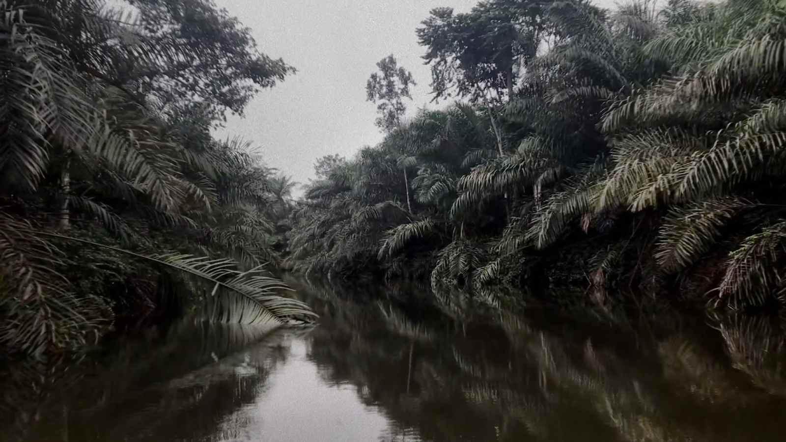 No River Protects me from Myself 2021 movie scene