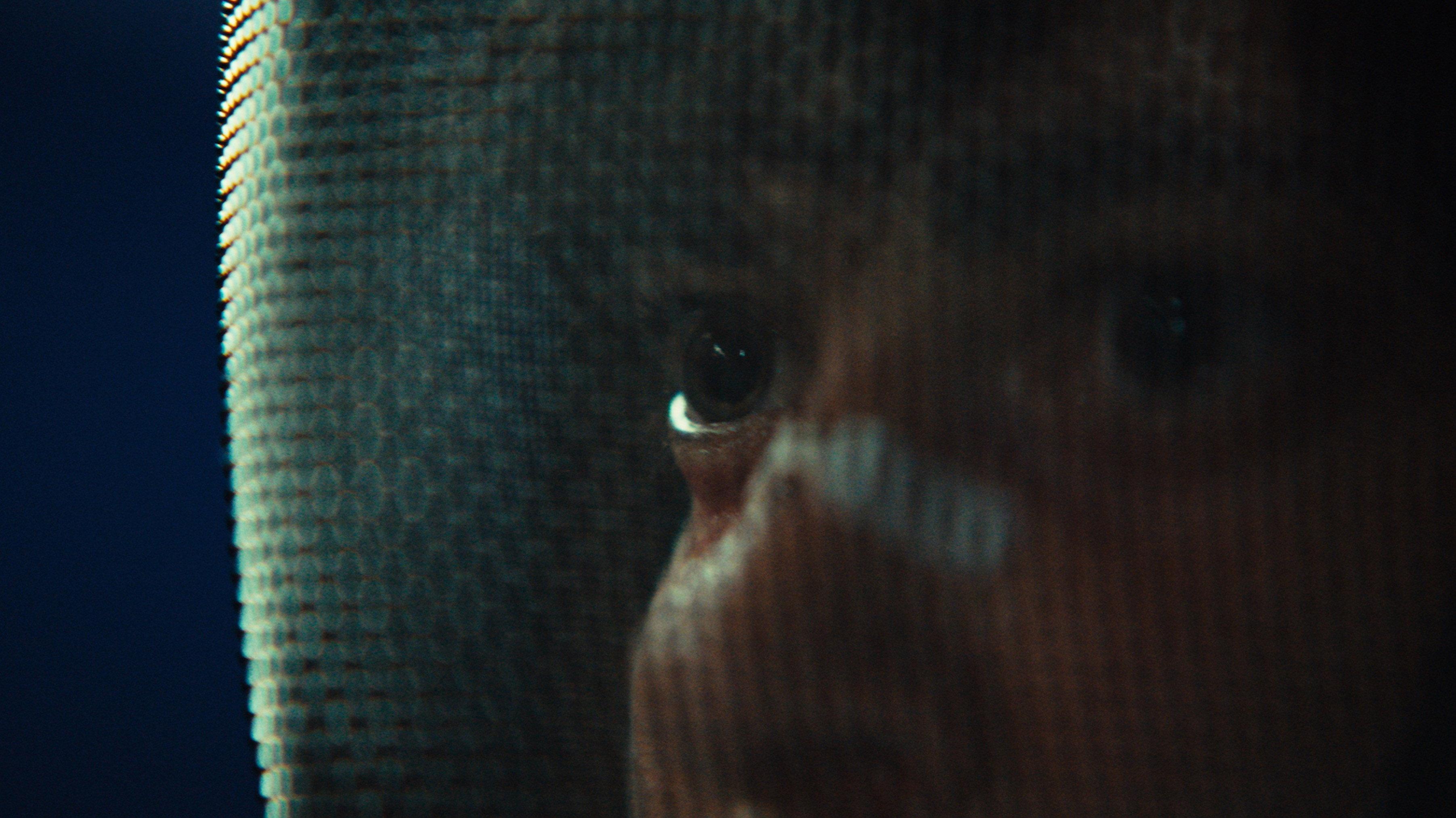 The Fencer 2025 movie scene