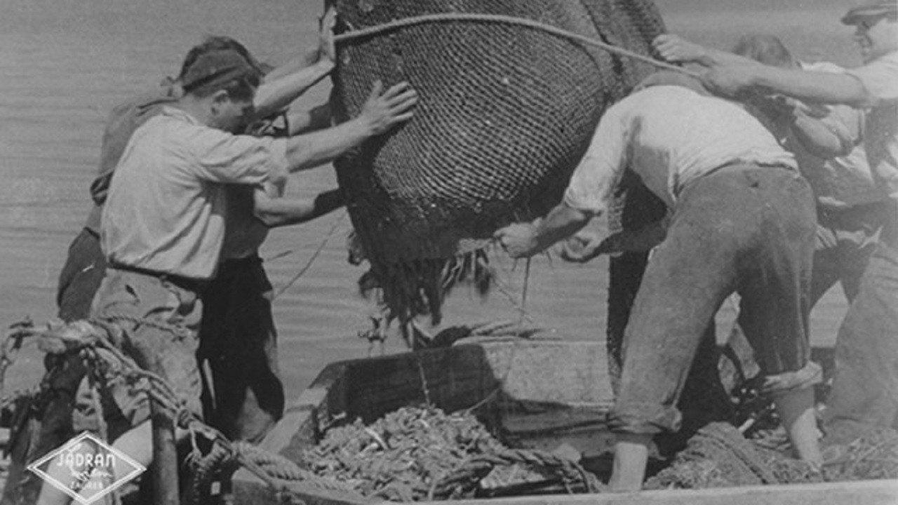 Tuna Fishermen 1948 movie scene