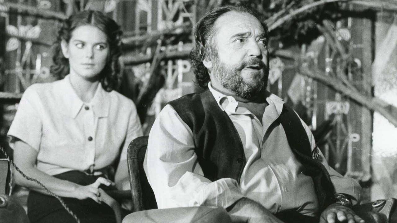 Le Voyageur Imprudent 1982 movie scene