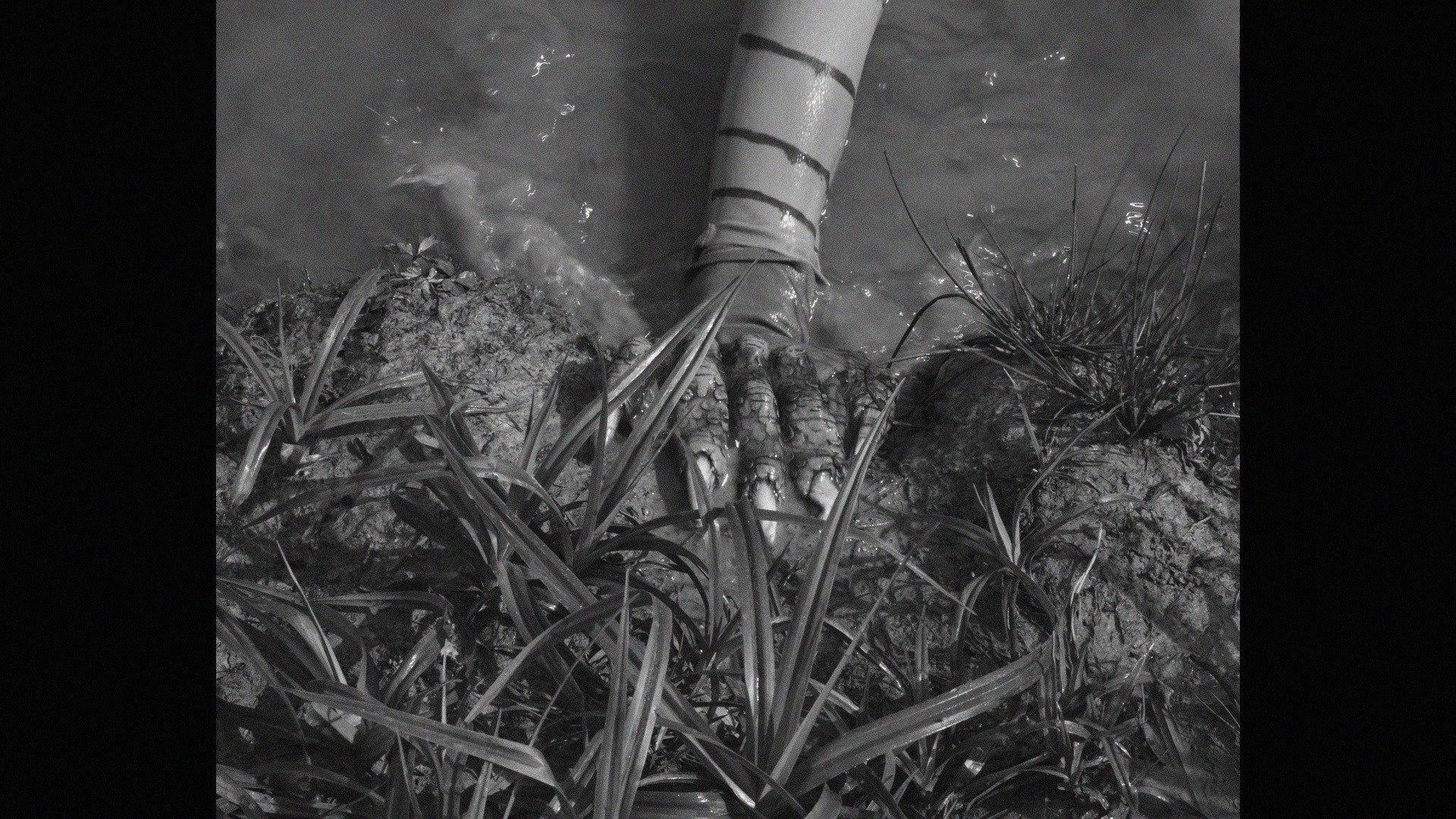 FROGGER, LA CREATURE DU LAC 2022 movie scene