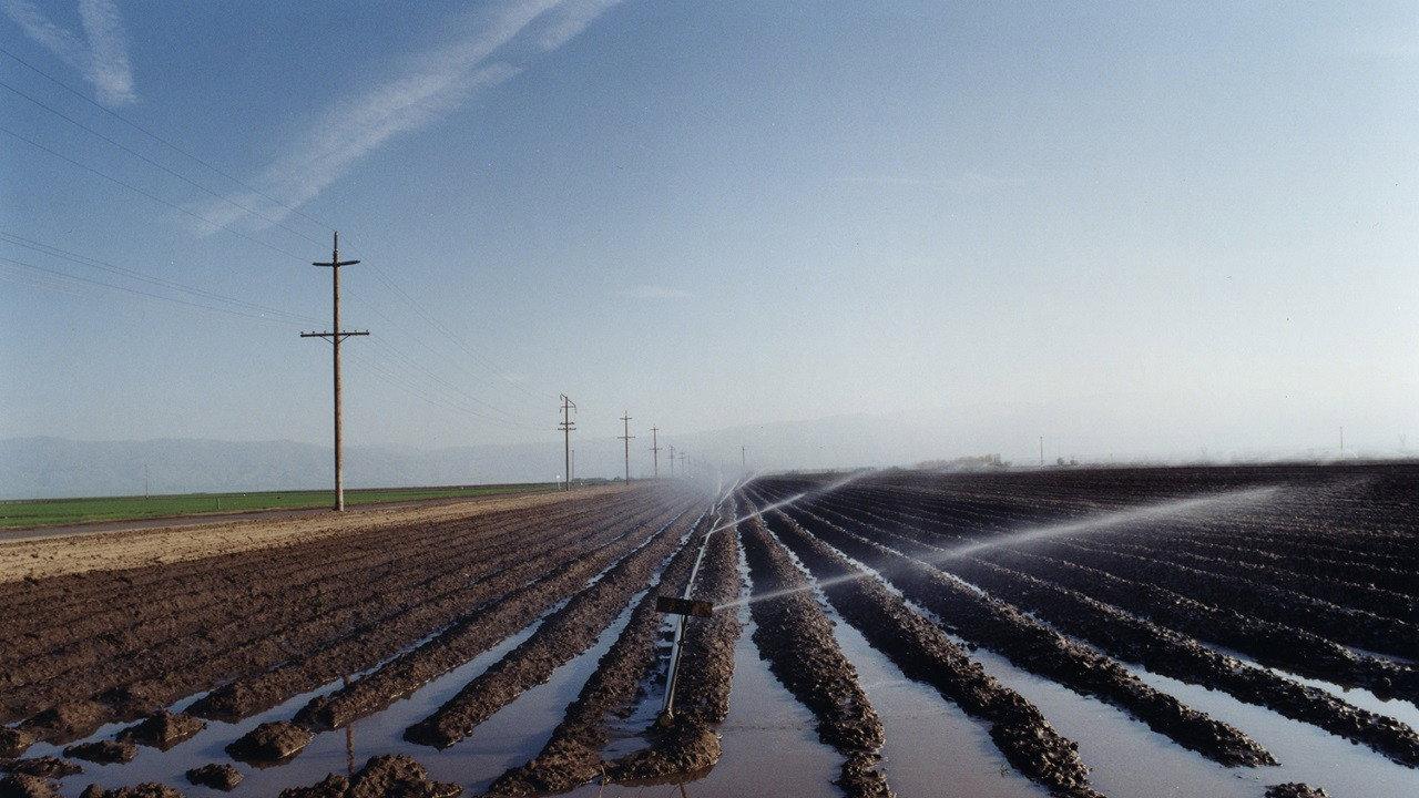 El Valley Centro 2000 movie scene