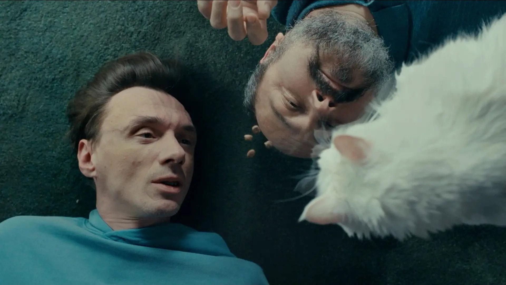 Cats on Glass 2026 movie scene