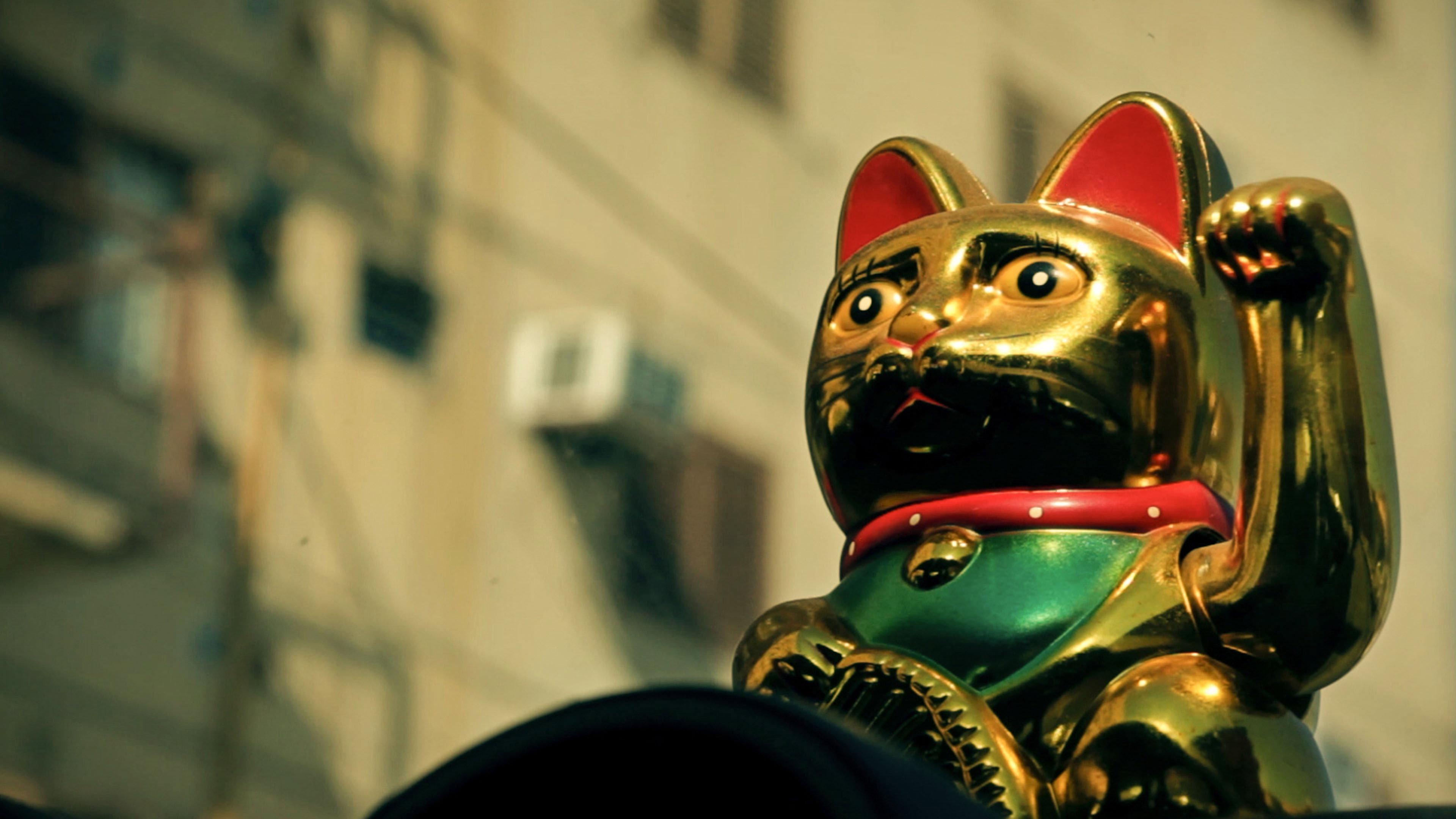 Manekineko 2015 movie scene