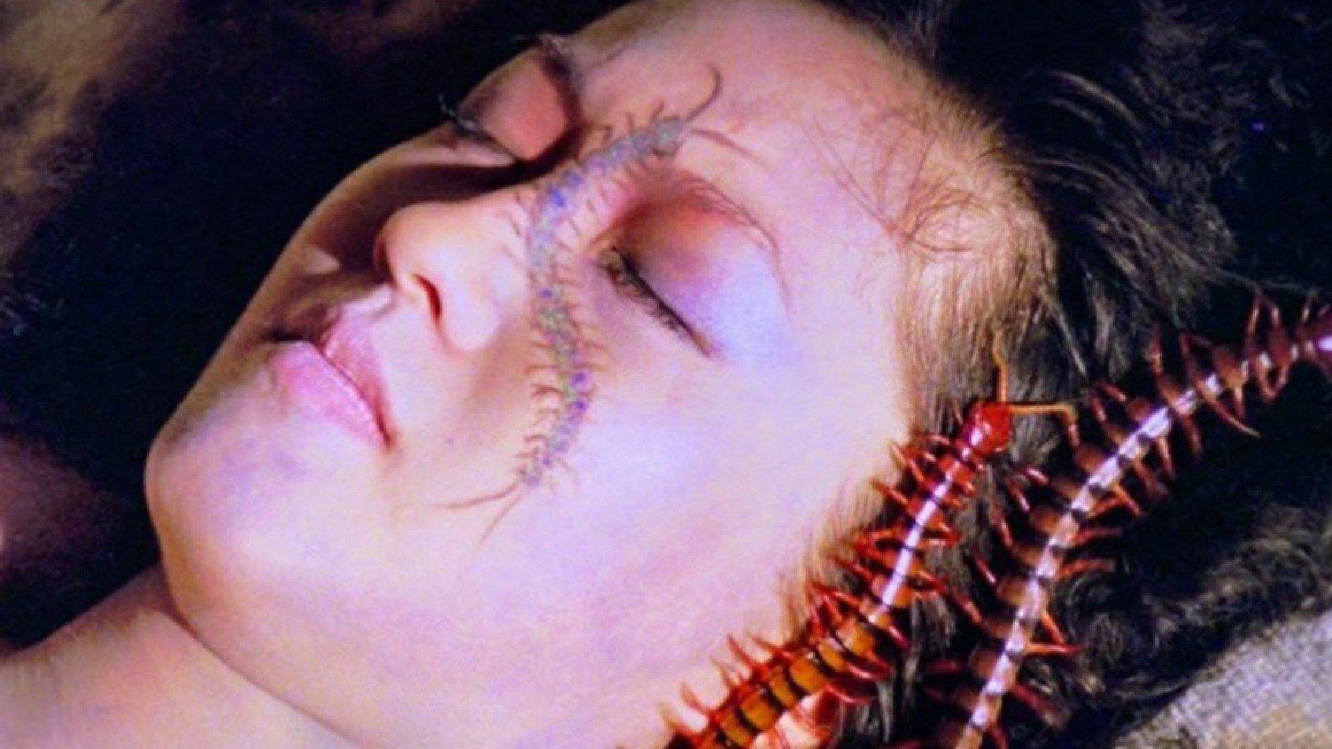 Centipede Horror 1982 movie scene