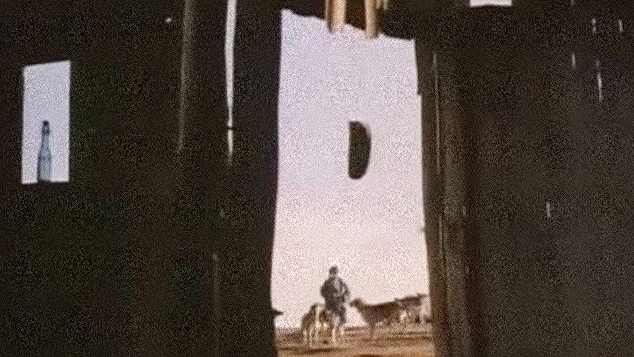A Talk with Birds 1997 movie scene