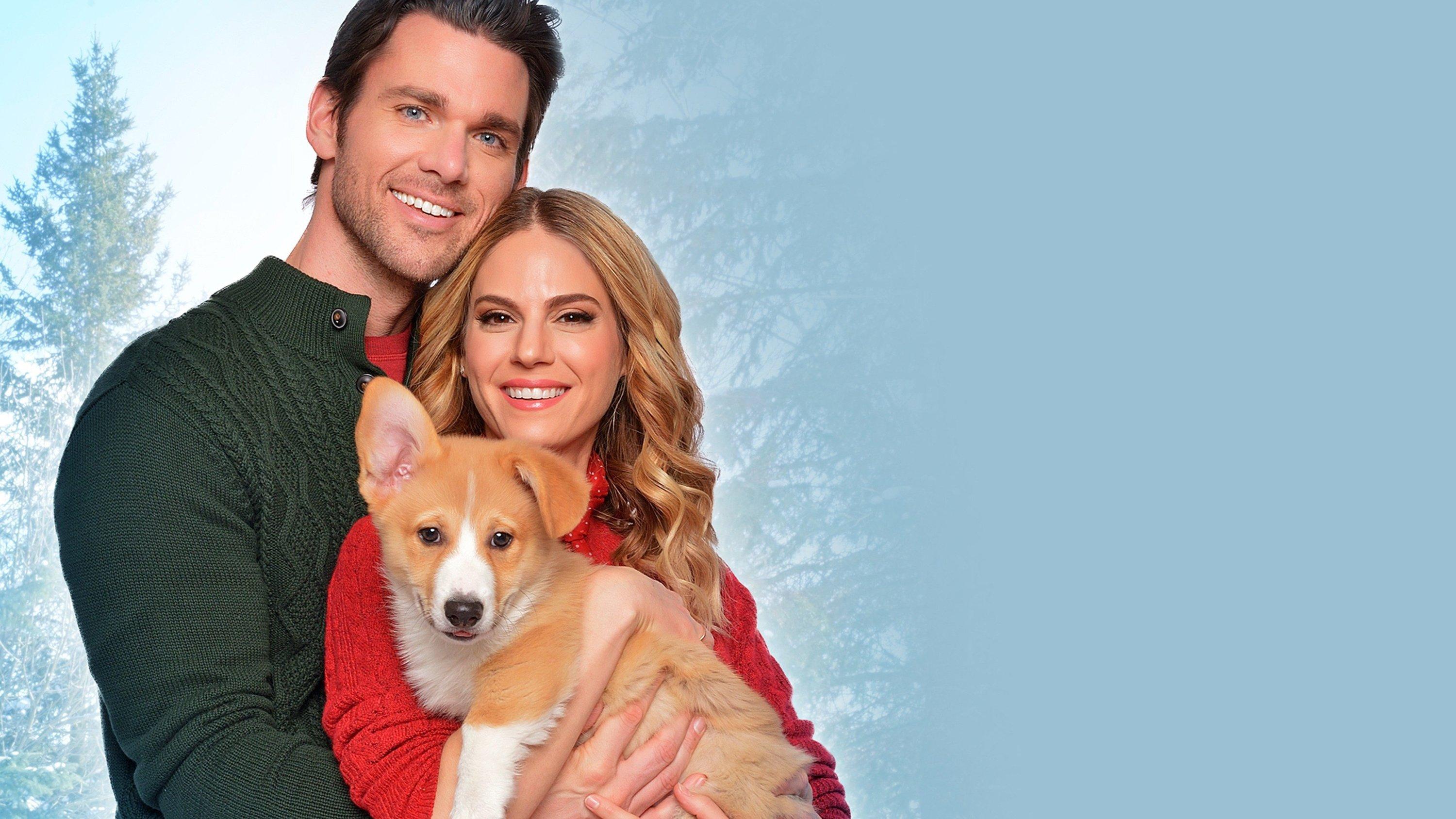 A Very Corgi Christmas 2019 movie scene