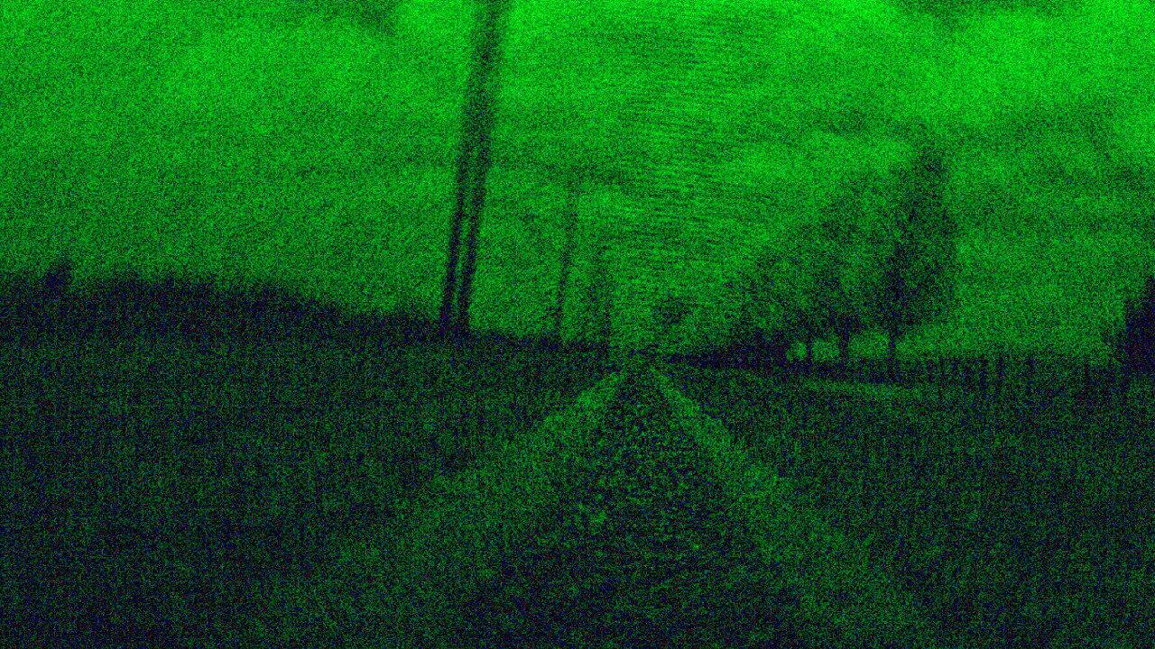 VHS Roadkill 2017 movie scene