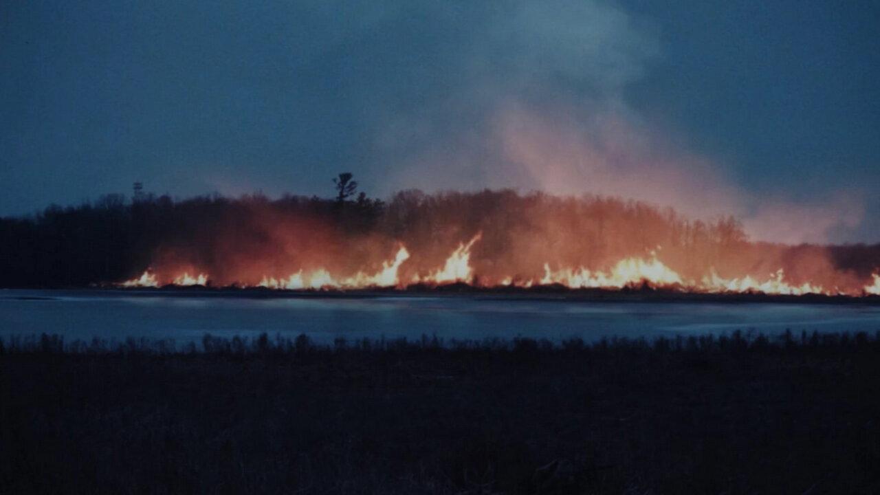 A Black Hole Near Kent County 2023 movie scene