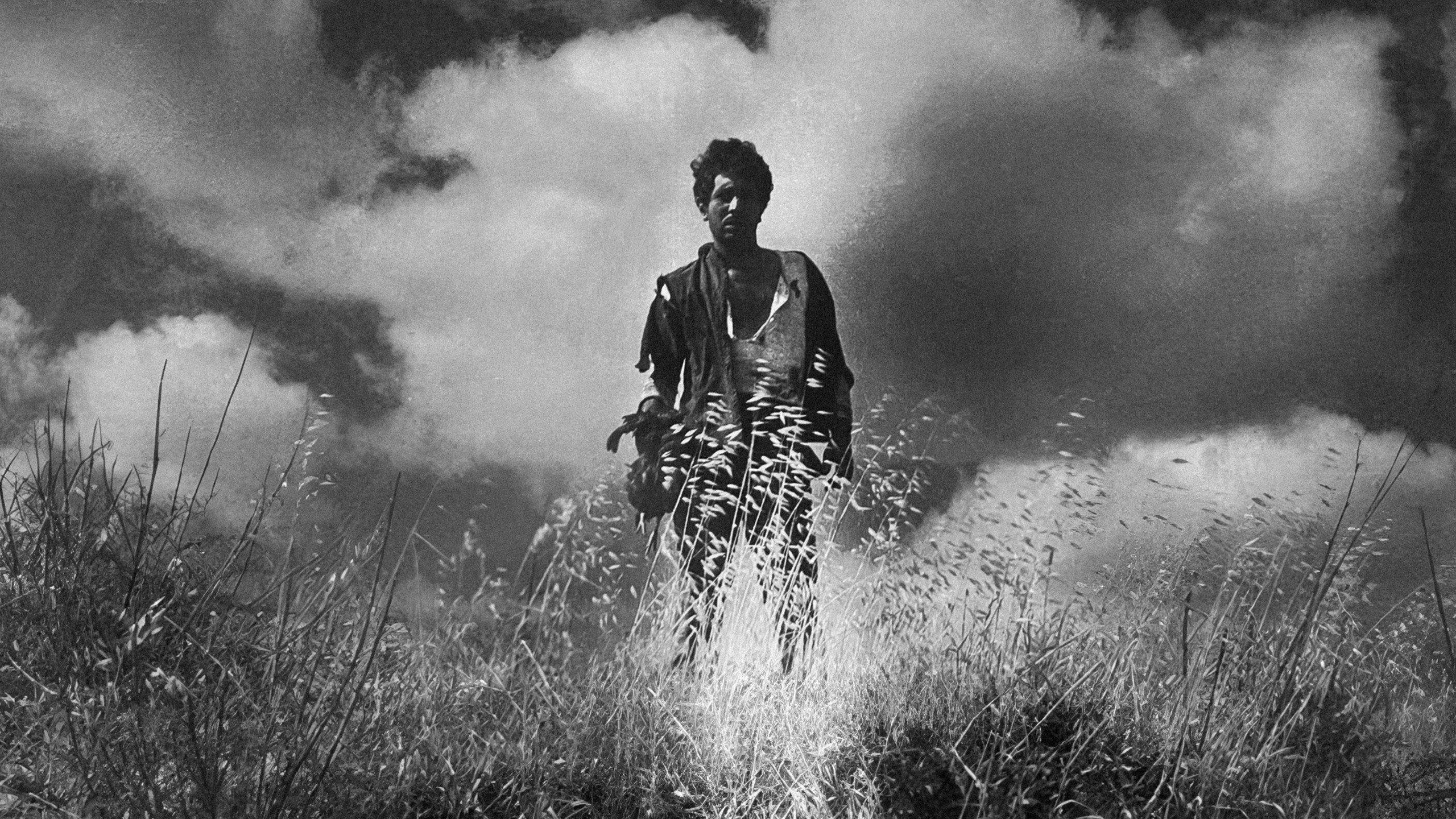 The Wheat and the Tares 1965 movie scene