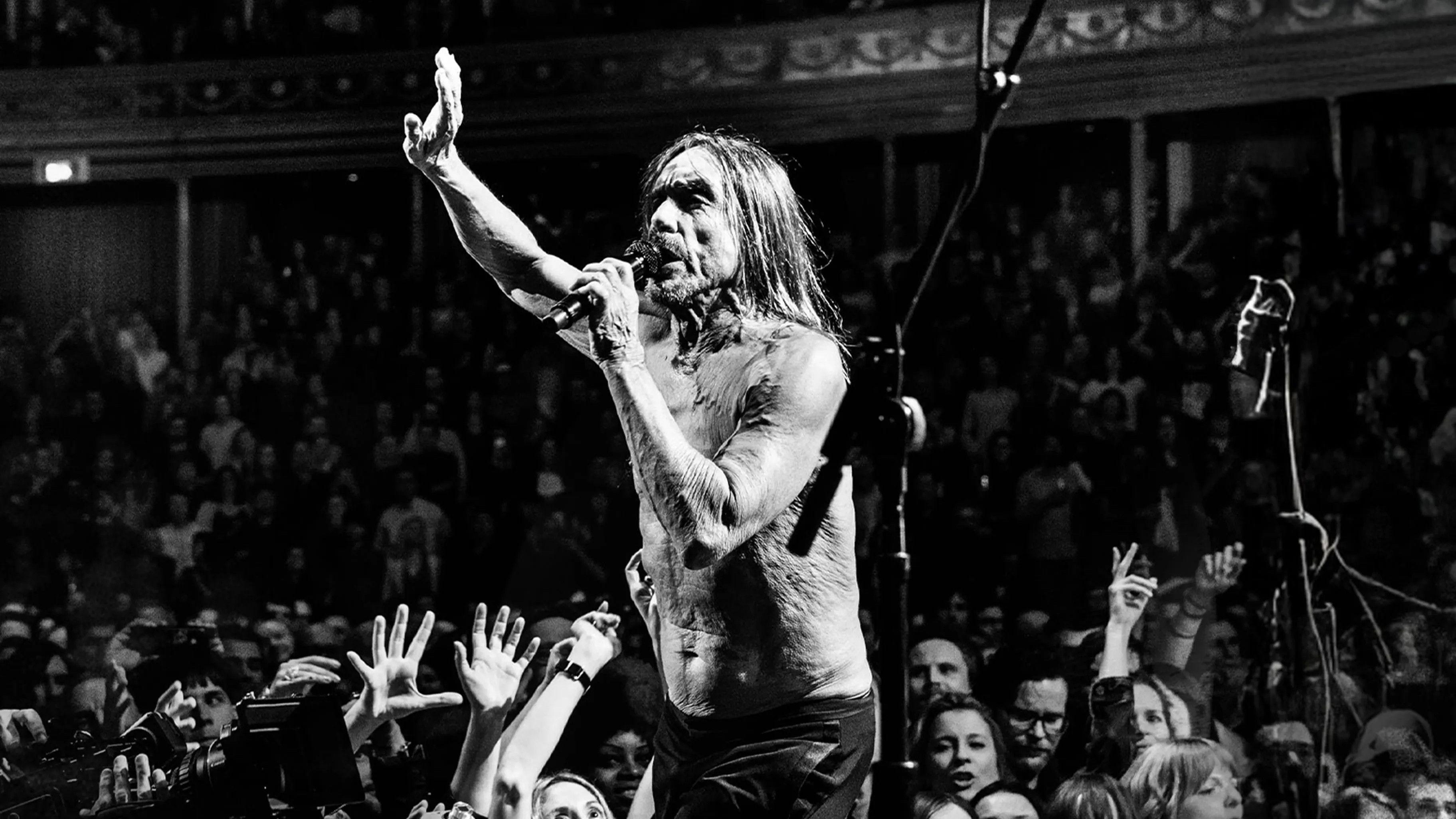 Iggy Pop - Post Pop Depression: Live at the Royal Albert Hall 2016 movie scene