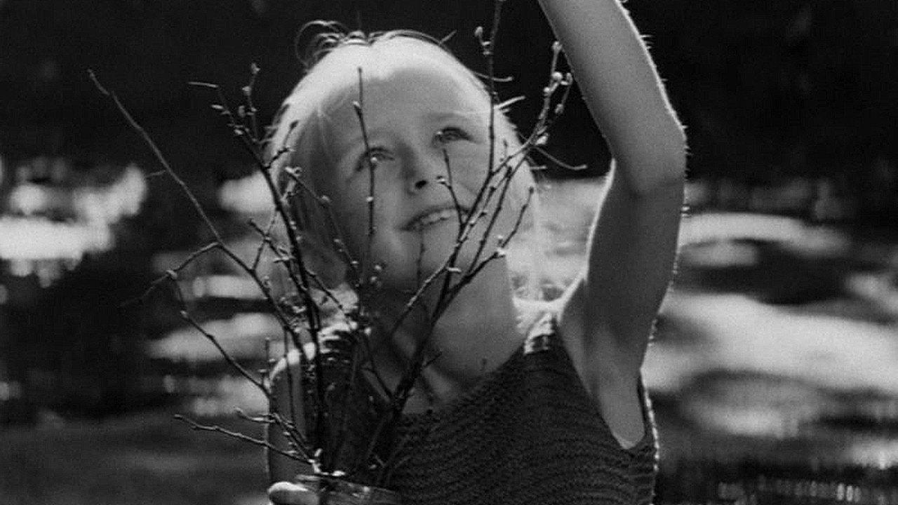 The Beauty 1969 movie scene