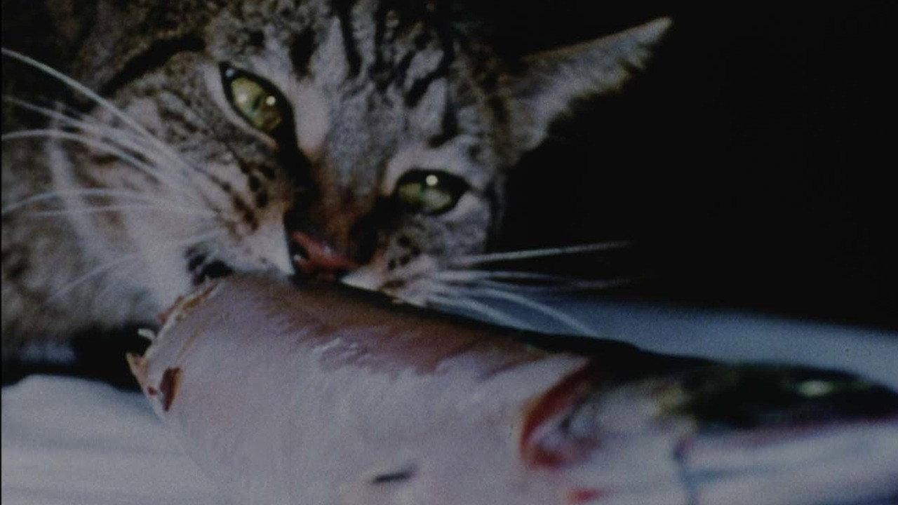 Cat Food 1967 movie scene