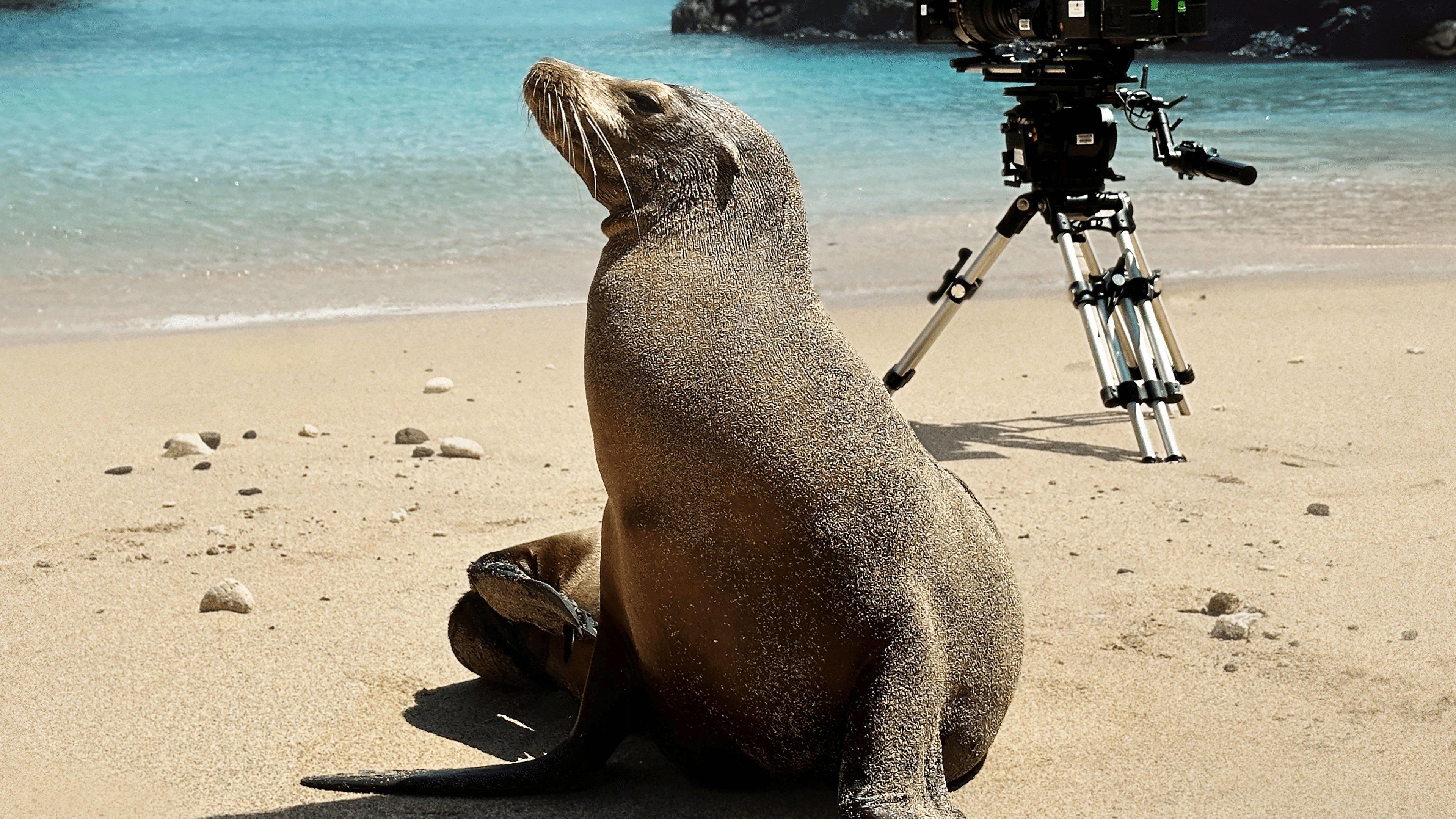Guardians of the Galapagos 2025 movie scene