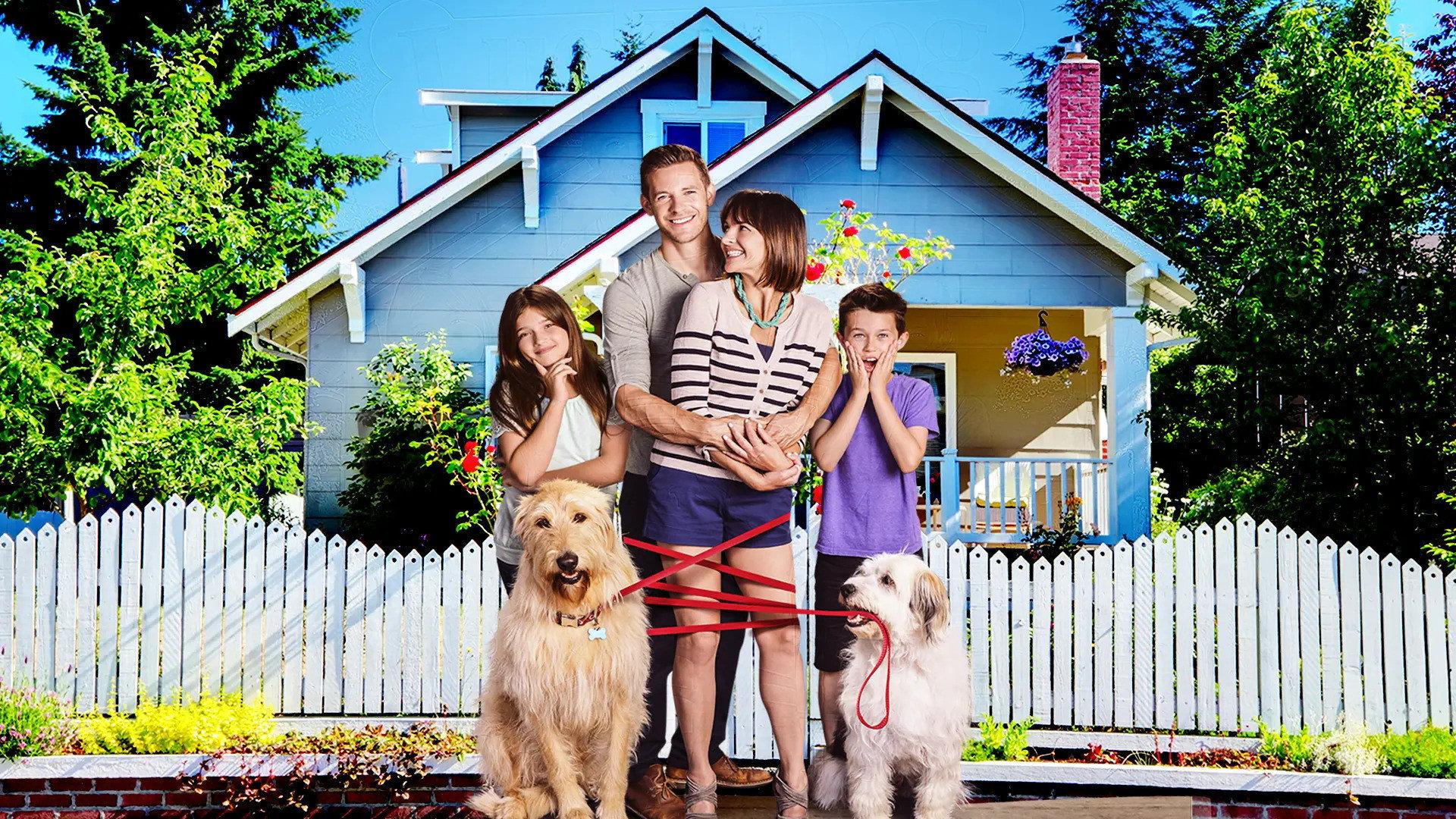 Lucky Dog 2014 movie scene