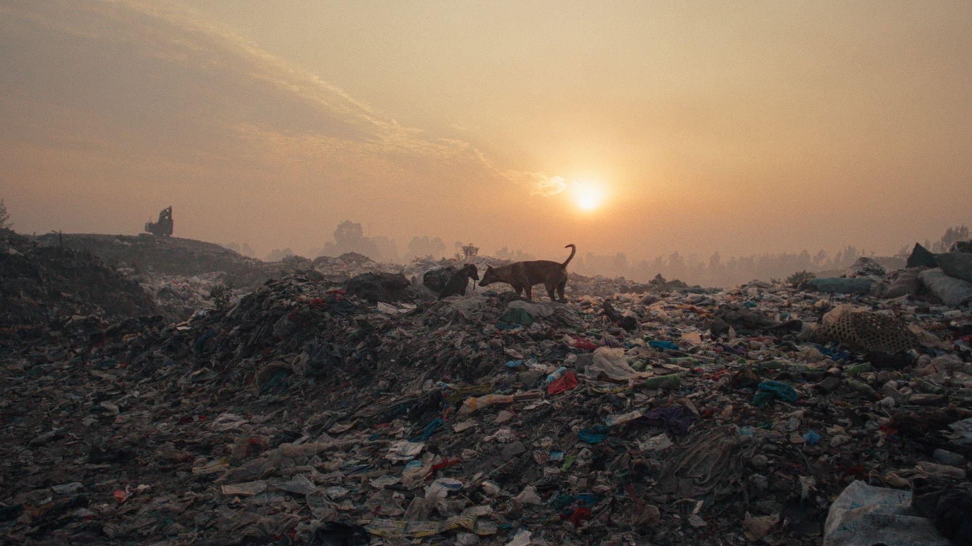 Plastic Fantastic 2024 movie scene