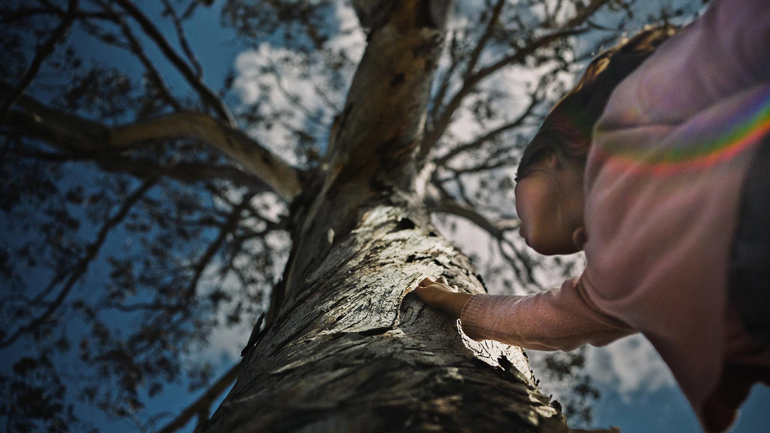 The Skeleton Tree 2025 movie scene