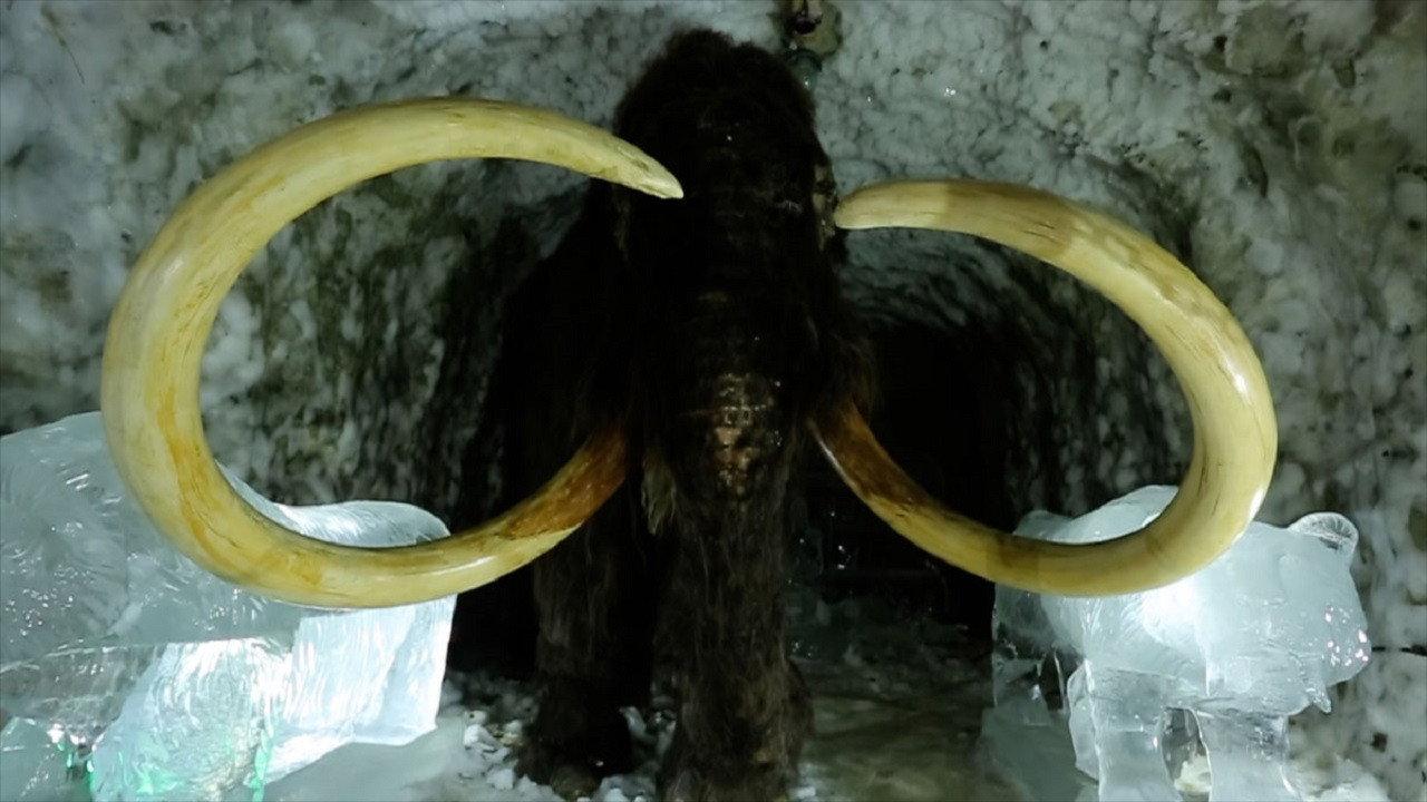 Passions For The Mammoth 2019 movie scene
