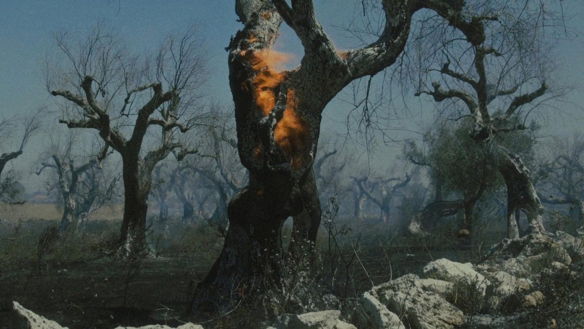 The Era of Giants 2023 movie scene