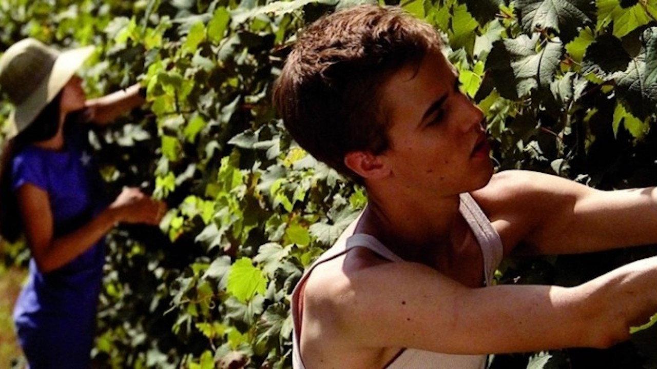 Days of Harvest 2010 movie scene