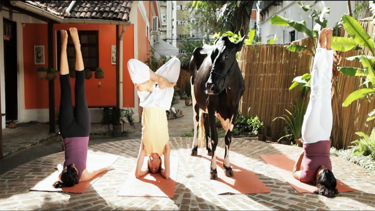 Political Animal 2017 movie scene