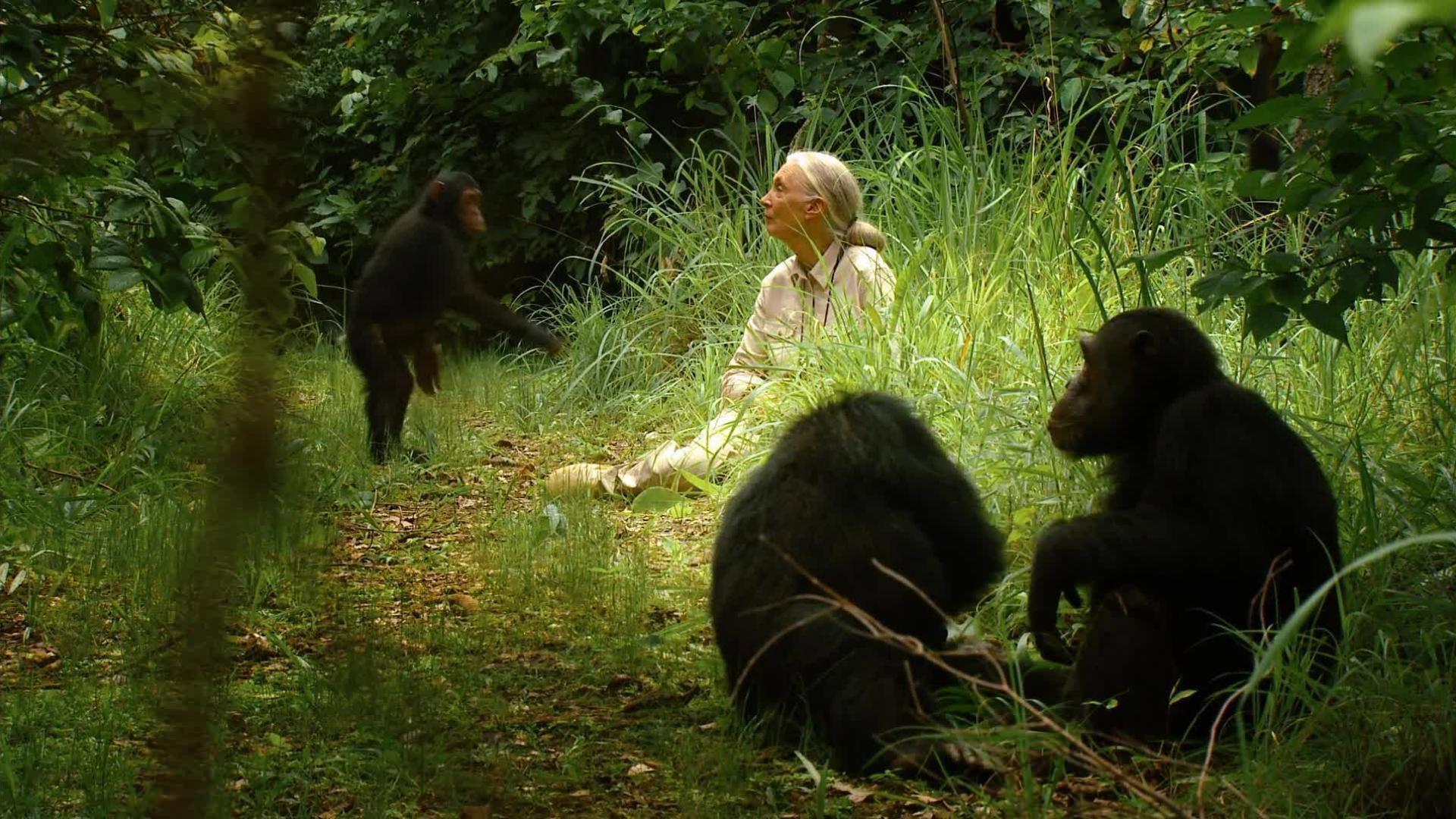 Jane's Journey 2011 movie scene
