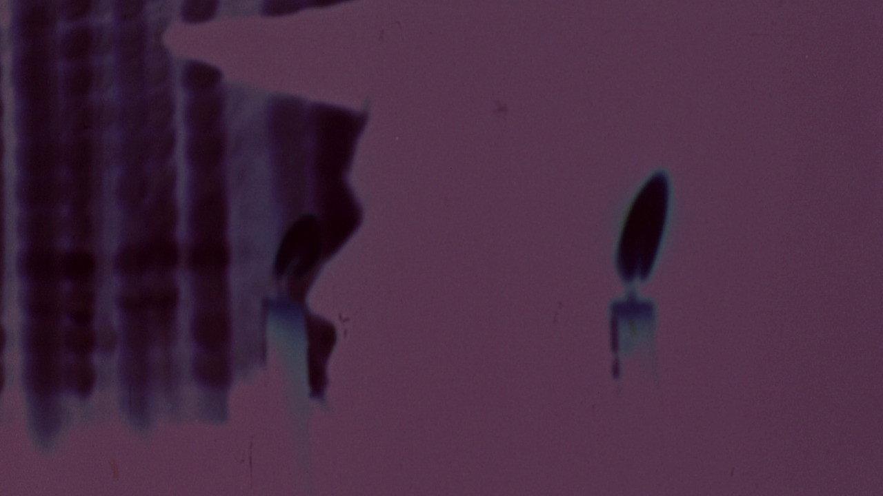 The Process 1972 movie scene