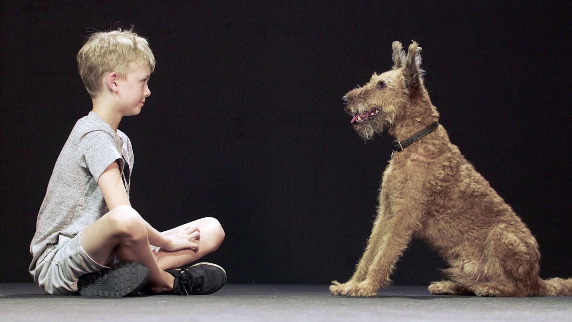 Dogs and Us: The Secret of a Friendship 2019 movie scene