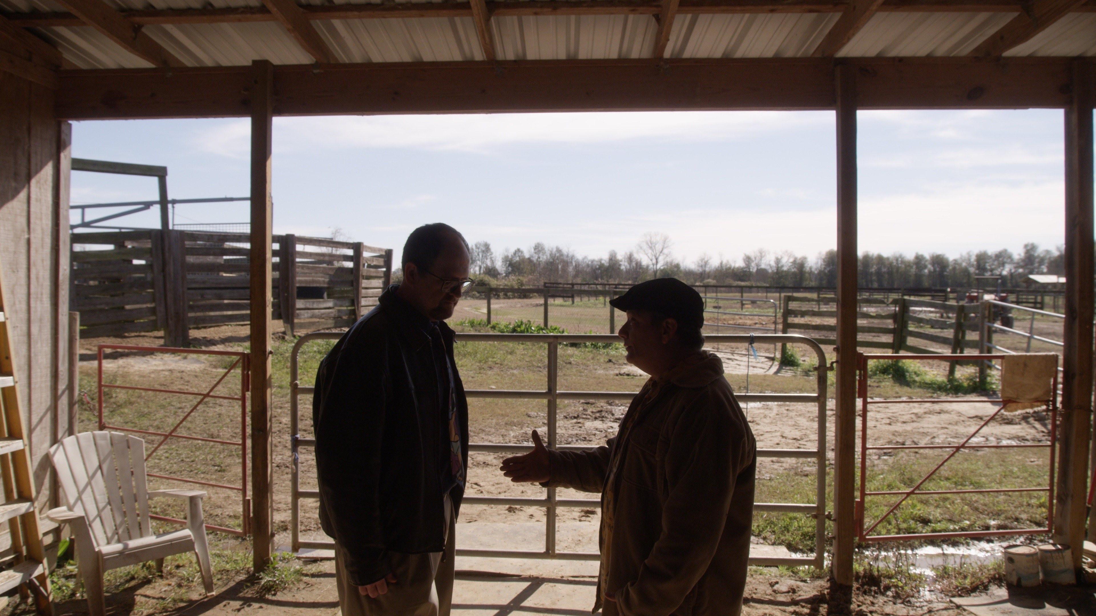 The Fiddling Horse 2019 movie scene