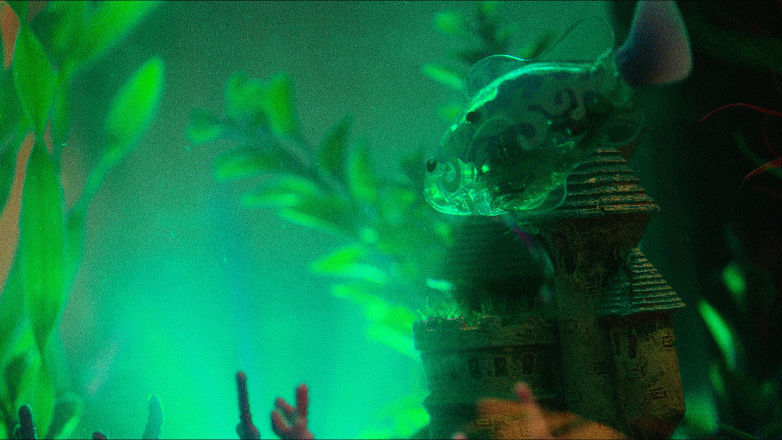 The Landlord 2026 movie scene