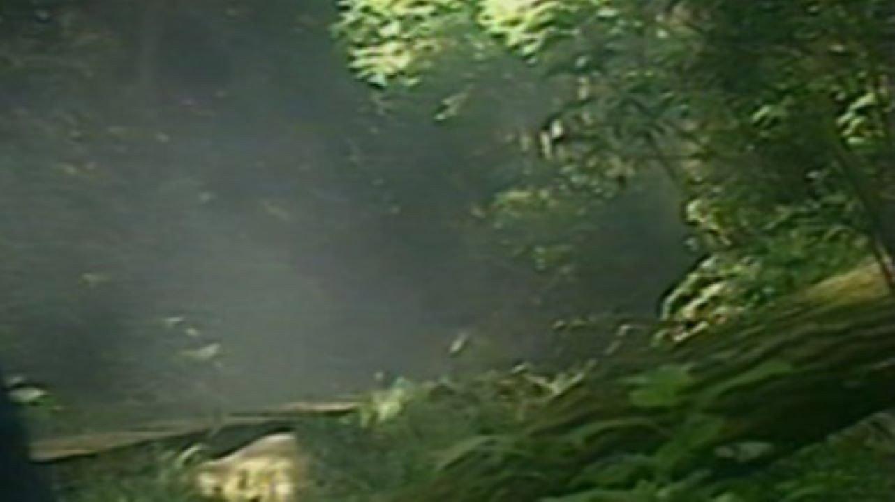 Youjo Melon 1987 movie scene