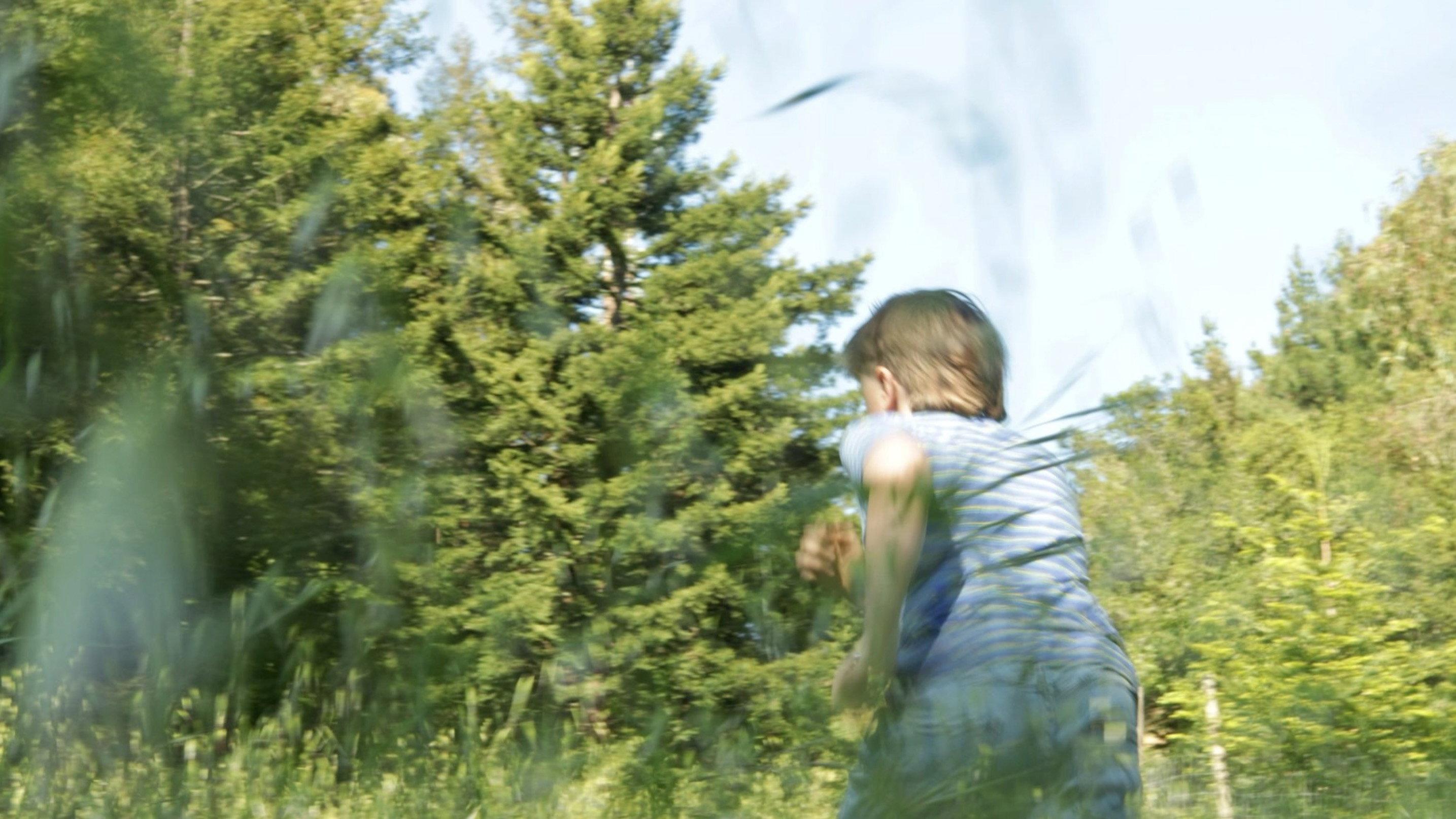 Underbrush movie scene