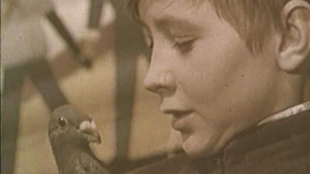 The Boy and the Pigeon 1961 movie scene