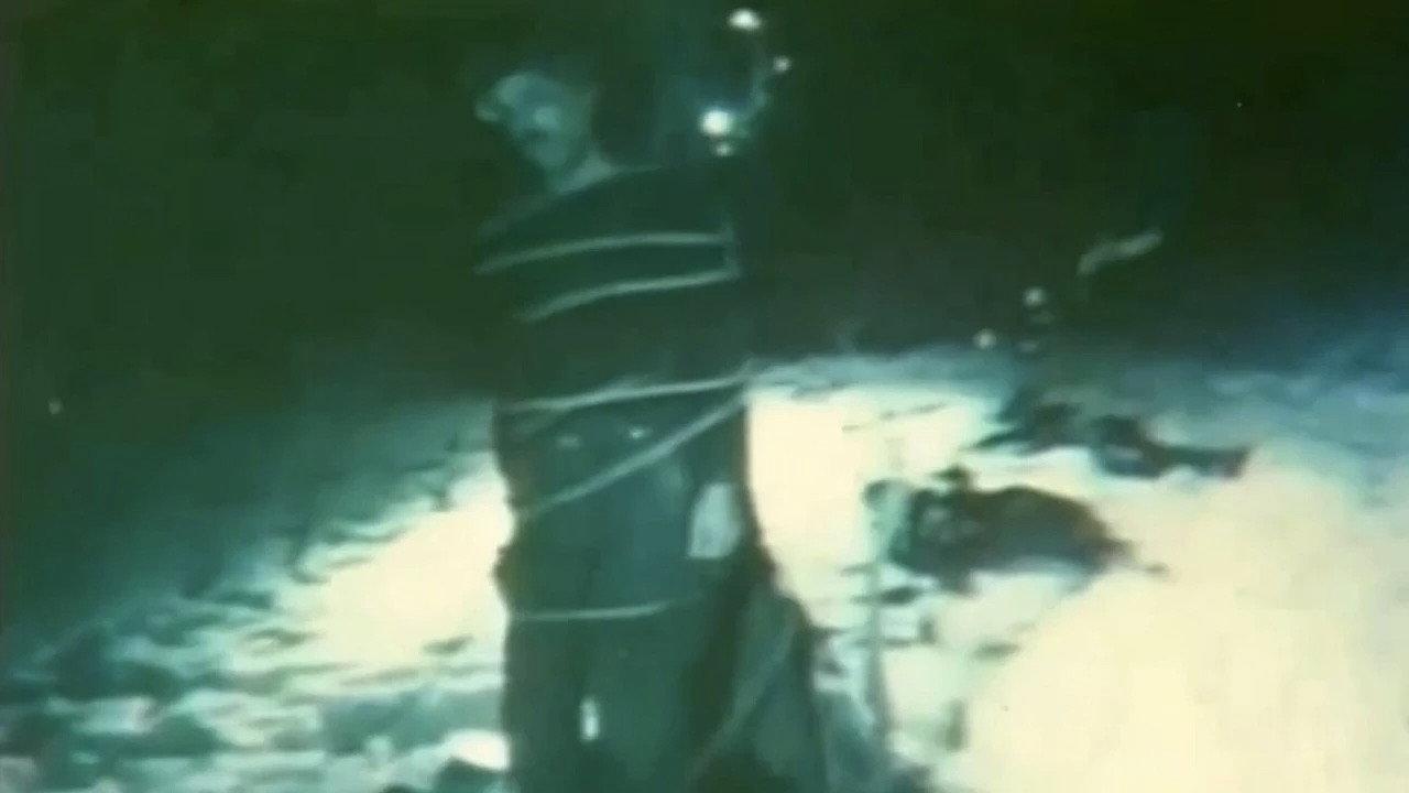 Haray 1993 movie scene