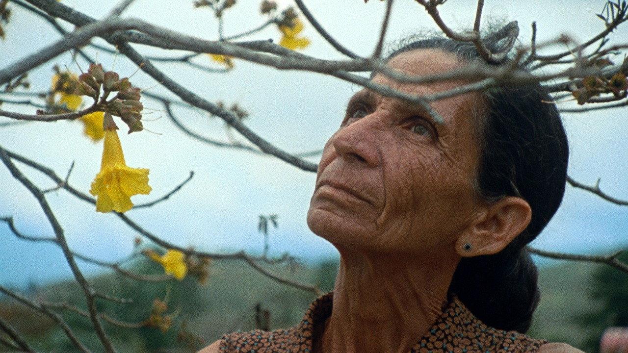 Pasta Negra 2025 movie scene
