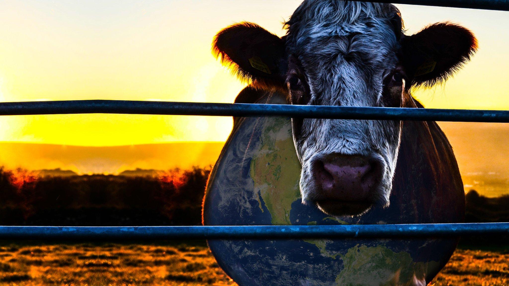 Cowspiracy: The Sustainability Secret 2014 movie scene