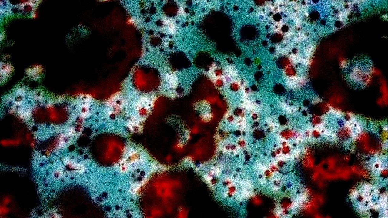 … ere erera baleibu izik subua aruaren… 1970 movie scene