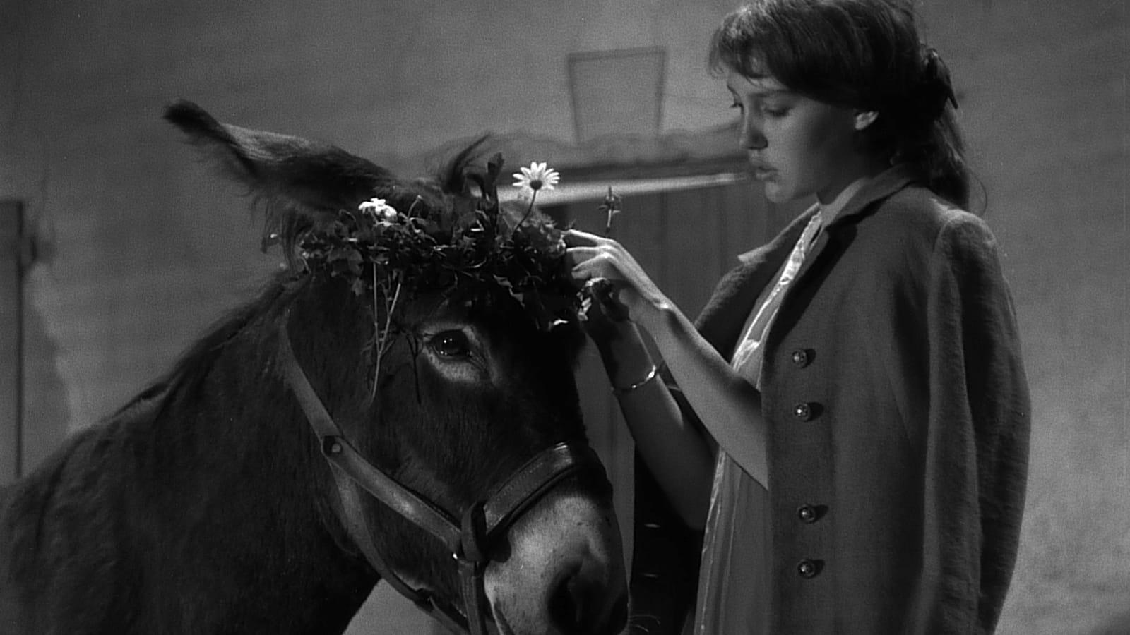 Au Hasard Balthazar 1966 movie scene