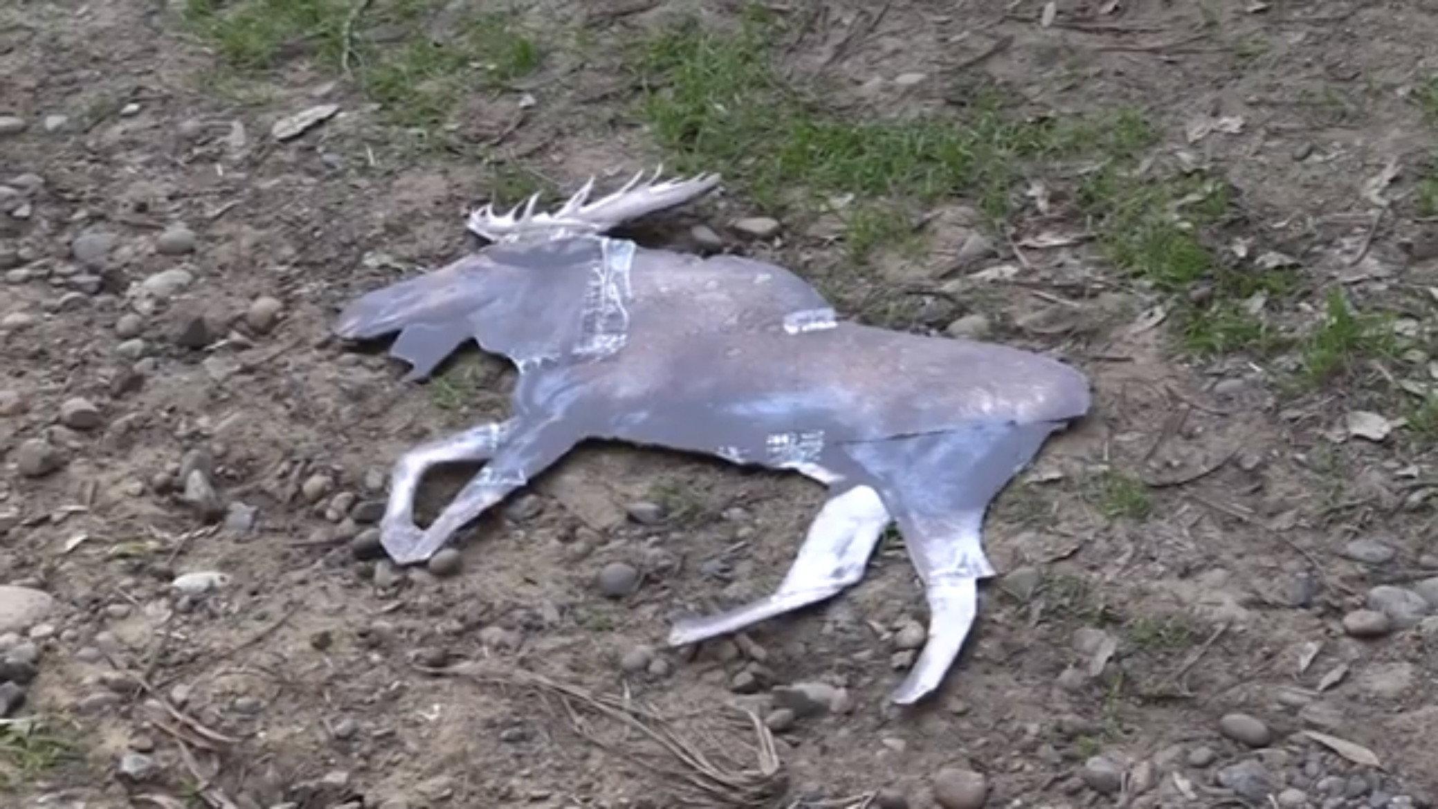 ARGYLE JENKINS: INTERNATIONAL MOOSE CATCHER 2024 movie scene