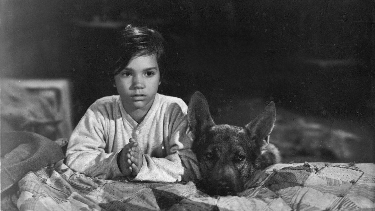 Sign of the Wolf 1941 movie scene