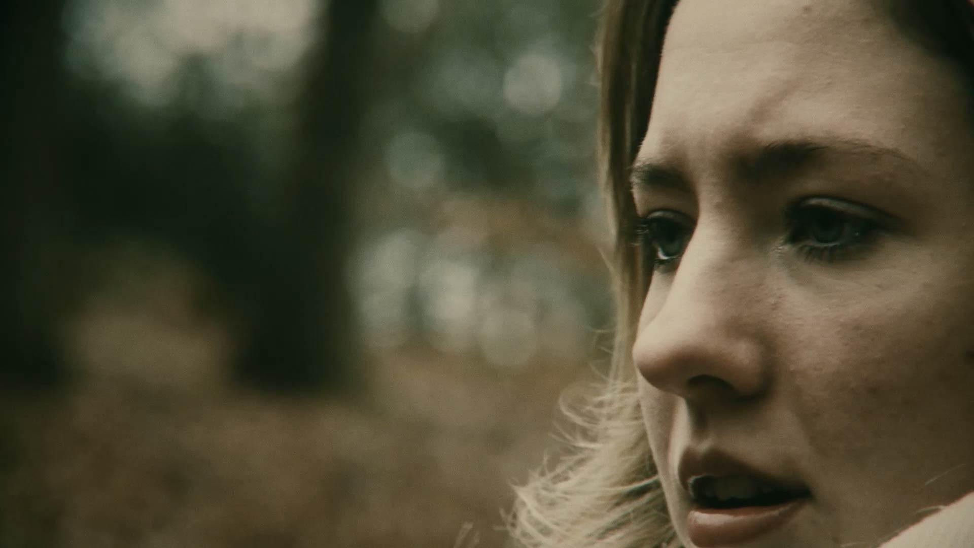 In a Forest 2024 movie scene