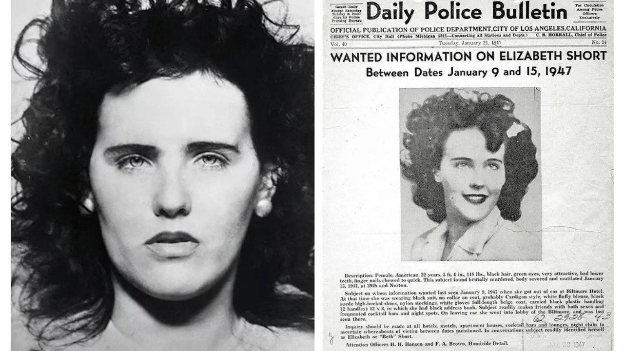 Black Dahlia Confidential 2004 movie scene