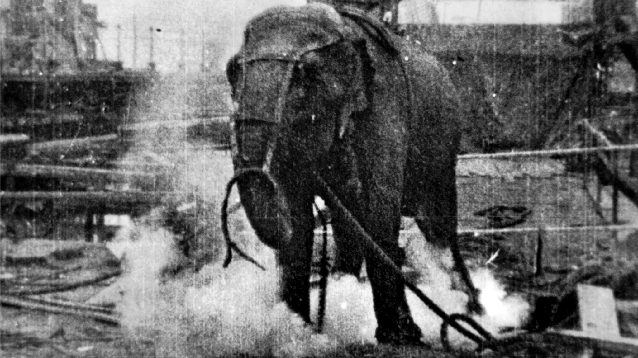 Electrocuting an Elephant 1903 movie scene