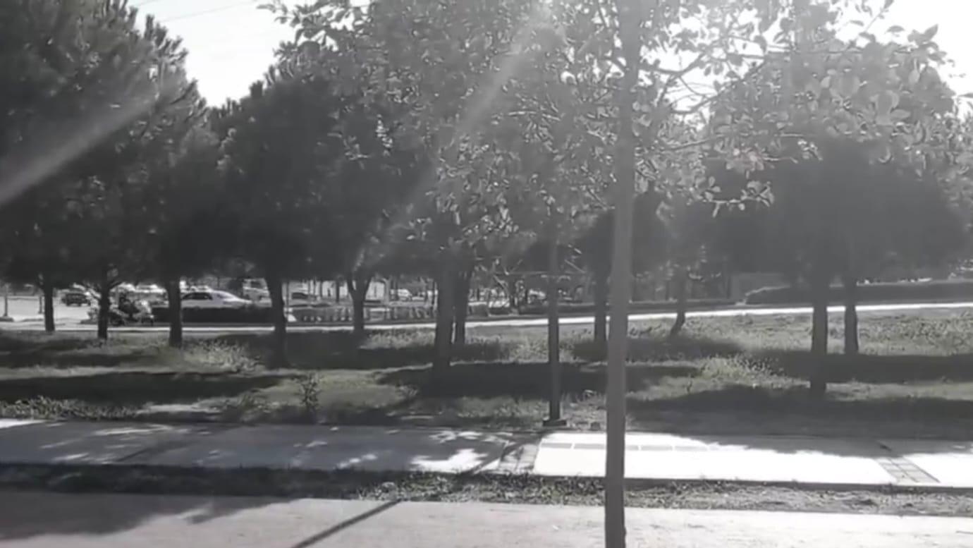 Mercan: Skate King 2022 movie scene
