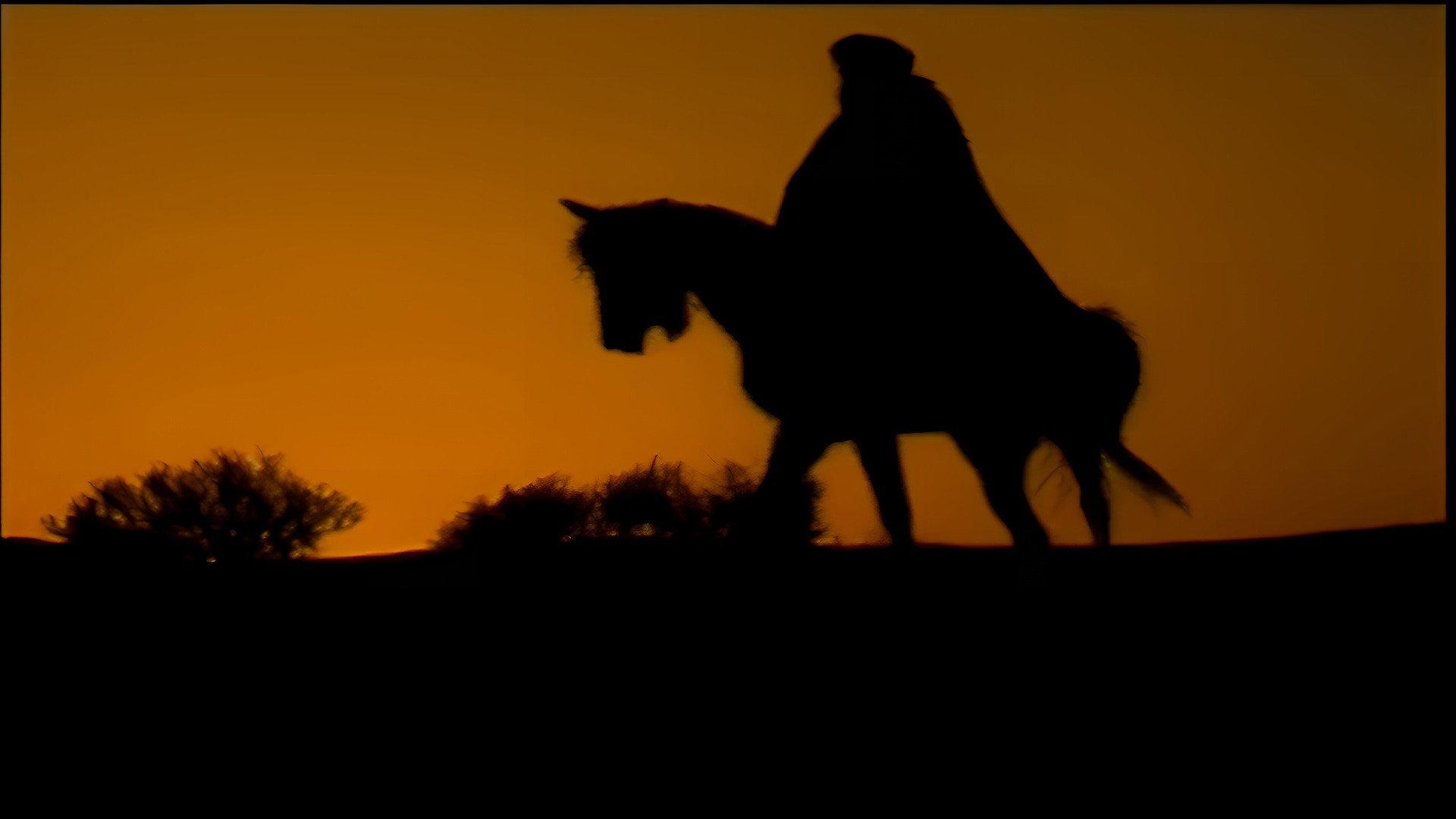 Dream Of The Sands 2014 movie scene