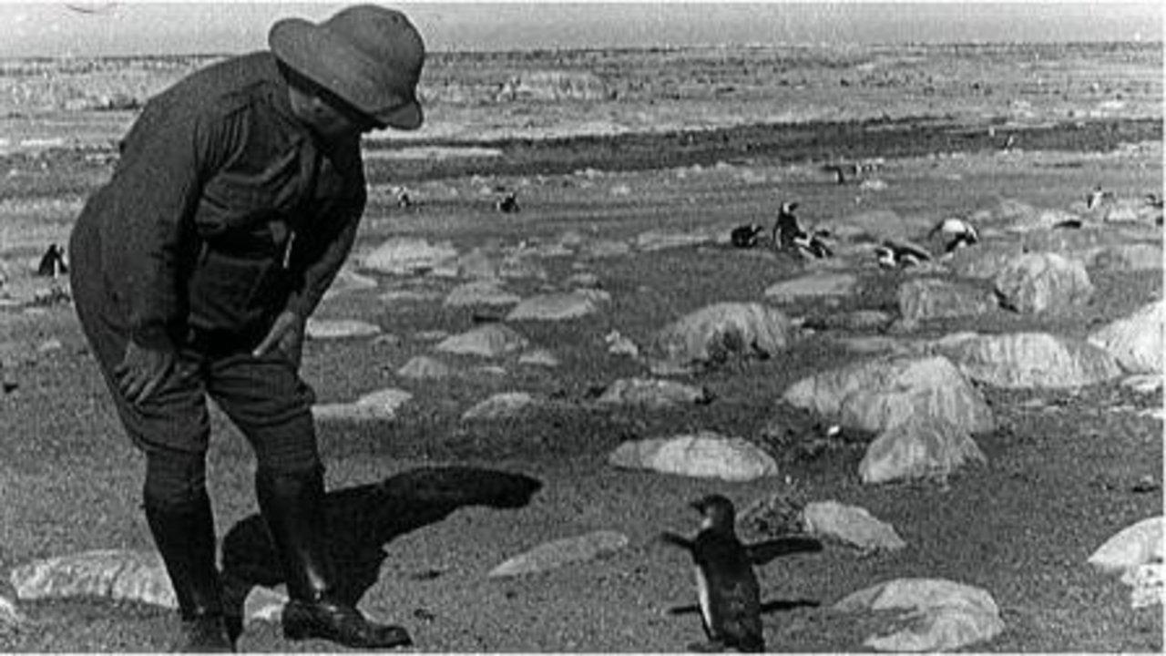 Dassan: An Adventure in Search of Laughter Featuring Nature's Greatest Little Comedians 1930 movie scene