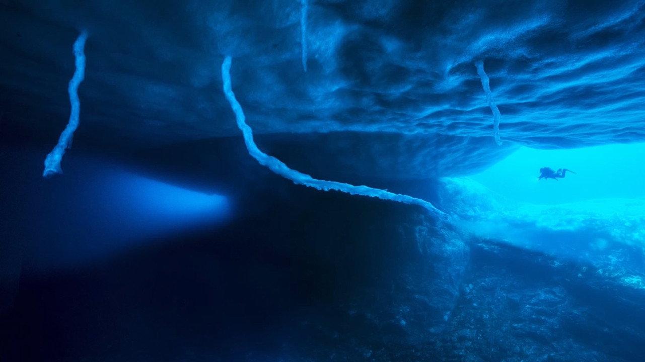 Antarctica, in the footsteps of the Emperor 2016 movie scene