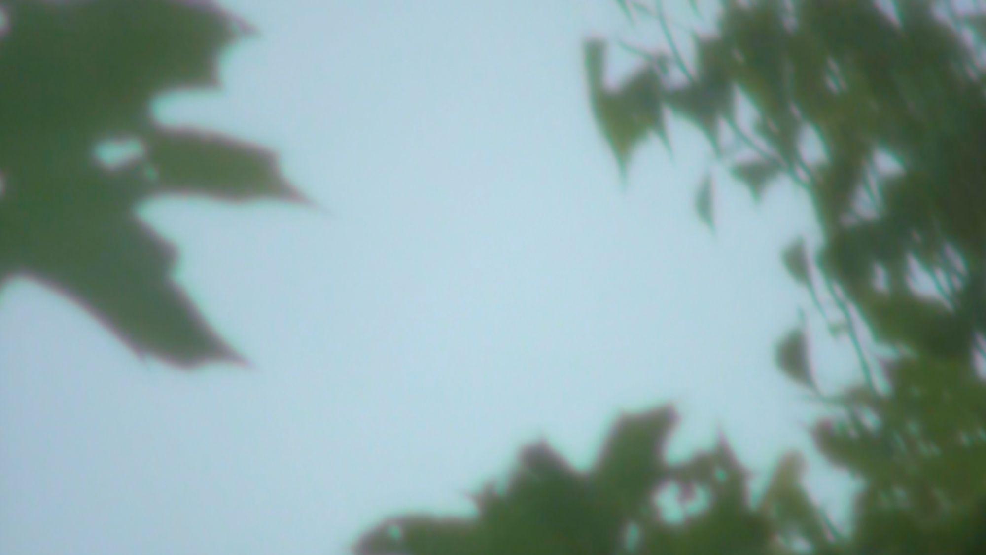 Opening Sky  movie scene