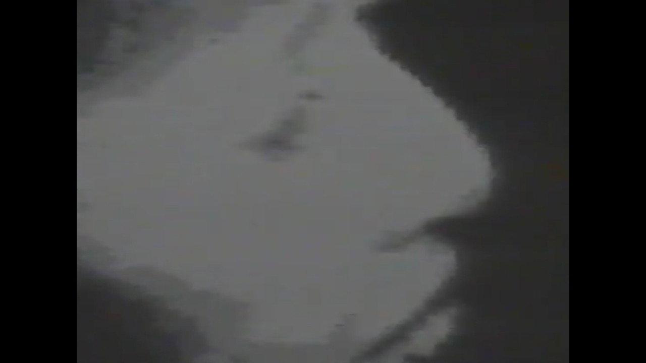 Window 1981 movie scene