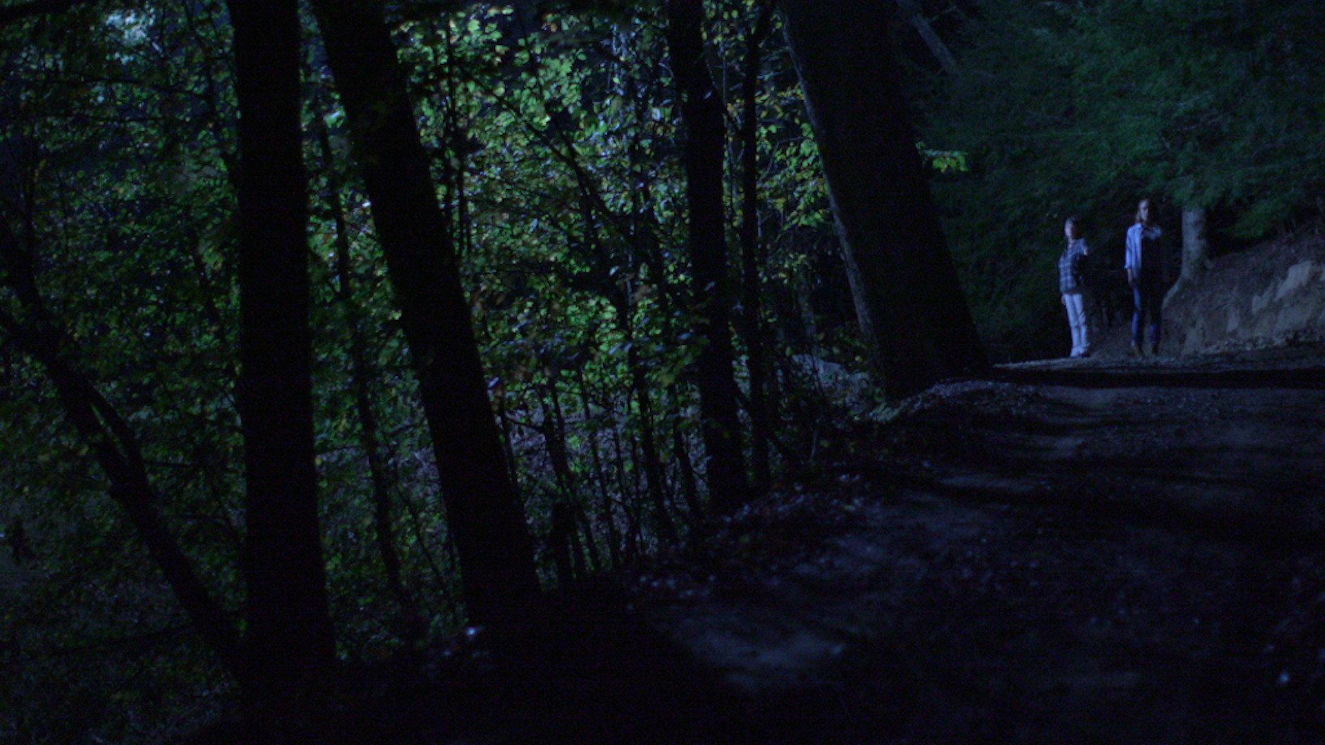 Below the Trees 2018 movie scene